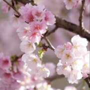 ヒメ日記 2025/04/05 16:08 投稿 あつこ 性腺熟女100％鶯谷（デリヘル市場）