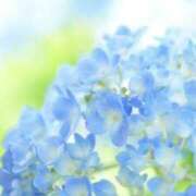 ヒメ日記 2025/04/30 08:11 投稿 あつこ 性腺熟女100％鶯谷（デリヘル市場）