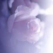 ヒメ日記 2025/05/01 17:26 投稿 あつこ 性腺熟女100％鶯谷（デリヘル市場）