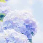 ヒメ日記 2025/06/30 17:24 投稿 あつこ 性腺熟女100％鶯谷（デリヘル市場）