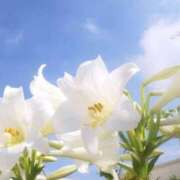 ヒメ日記 2025/07/11 12:13 投稿 あつこ 性腺熟女100％鶯谷（デリヘル市場）