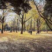 ヒメ日記 2025/12/17 08:47 投稿 あつこ 性腺熟女100％鶯谷（デリヘル市場）