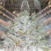 ヒメ日記 2025/12/25 22:57 投稿 あつこ 性腺熟女100％鶯谷（デリヘル市場）