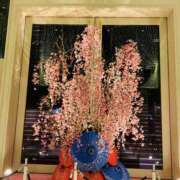 ヒメ日記 2026/03/11 00:09 投稿 あつこ 性腺熟女100％鶯谷（デリヘル市場）