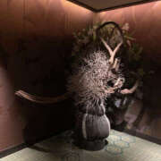 ヒメ日記 2026/03/13 23:32 投稿 あつこ 性腺熟女100％鶯谷（デリヘル市場）