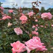 ヒメ日記 2025/10/26 22:50 投稿 あや 性腺熟女100％鶯谷（デリヘル市場）