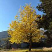 あや お礼です 性腺熟女100％鶯谷（デリヘル市場）