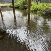 ヒメ日記 2025/12/31 23:30 投稿 けいこ 性腺熟女100％鶯谷（デリヘル市場）