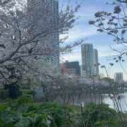 けいこ 先日、 性腺熟女100％鶯谷（デリヘル市場）