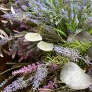 ヒメ日記 2025/02/15 11:09 投稿 こなつ 性腺熟女100％鶯谷（デリヘル市場）