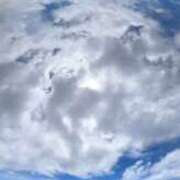 ヒメ日記 2025/03/04 10:48 投稿 こなつ 性腺熟女100％鶯谷（デリヘル市場）