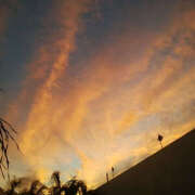 ヒメ日記 2025/07/08 00:46 投稿 こなつ 性腺熟女100％鶯谷（デリヘル市場）