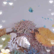 ヒメ日記 2025/07/22 16:22 投稿 こなつ 性腺熟女100％鶯谷（デリヘル市場）