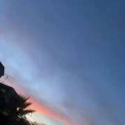 ヒメ日記 2025/09/17 17:44 投稿 こなつ 性腺熟女100％鶯谷（デリヘル市場）