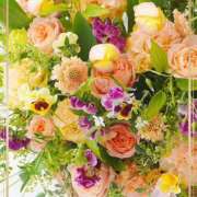 ヒメ日記 2024/12/30 11:15 投稿 かな 性腺熟女100％鶯谷（デリヘル市場）