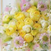 ヒメ日記 2025/04/03 22:51 投稿 かな 性腺熟女100％鶯谷（デリヘル市場）