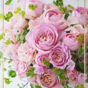 ヒメ日記 2025/04/08 18:16 投稿 かな 性腺熟女100％鶯谷（デリヘル市場）