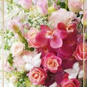 ヒメ日記 2025/04/22 18:46 投稿 かな 性腺熟女100％鶯谷（デリヘル市場）