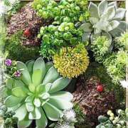 ヒメ日記 2025/05/20 23:24 投稿 かな 性腺熟女100％鶯谷（デリヘル市場）