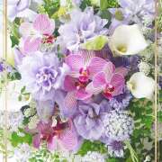 ヒメ日記 2025/05/31 17:34 投稿 かな 性腺熟女100％鶯谷（デリヘル市場）