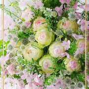 ヒメ日記 2025/06/03 09:16 投稿 かな 性腺熟女100％鶯谷（デリヘル市場）