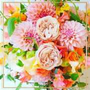 ヒメ日記 2025/08/05 22:57 投稿 かな 性腺熟女100％鶯谷（デリヘル市場）