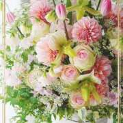 ヒメ日記 2025/08/26 23:51 投稿 かな 性腺熟女100％鶯谷（デリヘル市場）