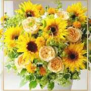 ヒメ日記 2025/09/26 10:59 投稿 かな 性腺熟女100％鶯谷（デリヘル市場）