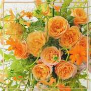 ヒメ日記 2025/11/21 17:56 投稿 かな 性腺熟女100％鶯谷（デリヘル市場）