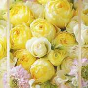 ヒメ日記 2025/12/26 13:33 投稿 かな 性腺熟女100％鶯谷（デリヘル市場）