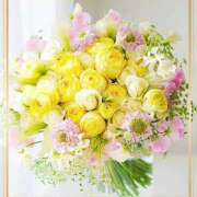 ヒメ日記 2026/01/30 23:09 投稿 かな 性腺熟女100％鶯谷（デリヘル市場）