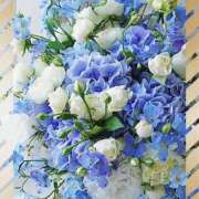 ヒメ日記 2026/02/10 23:51 投稿 かな 性腺熟女100％鶯谷（デリヘル市場）