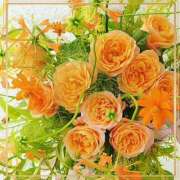 ヒメ日記 2026/02/18 08:03 投稿 かな 性腺熟女100％鶯谷（デリヘル市場）