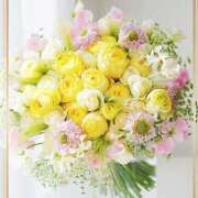 ヒメ日記 2026/03/10 00:05 投稿 かな 性腺熟女100％鶯谷（デリヘル市場）