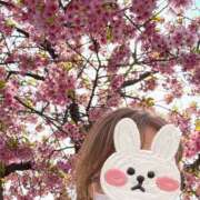 ヒメ日記 2025/03/23 14:35 投稿 まな 性腺熟女100％鶯谷（デリヘル市場）