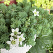 ヒメ日記 2025/05/25 11:45 投稿 まな 性腺熟女100％鶯谷（デリヘル市場）