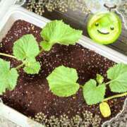 ヒメ日記 2025/06/13 11:50 投稿 まな 性腺熟女100％鶯谷（デリヘル市場）