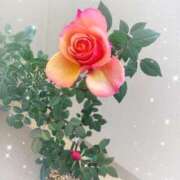 ヒメ日記 2026/01/05 18:05 投稿 まな 性腺熟女100％鶯谷（デリヘル市場）