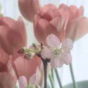 ヒメ日記 2026/02/08 12:30 投稿 まな 性腺熟女100％鶯谷（デリヘル市場）