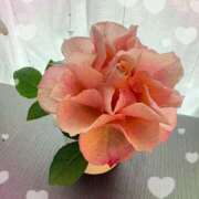 ヒメ日記 2026/03/05 11:20 投稿 まな 性腺熟女100％鶯谷（デリヘル市場）