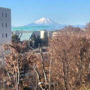 ヒメ日記 2024/12/17 13:02 投稿 まい 性腺熟女100％鶯谷（デリヘル市場）