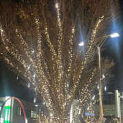 ヒメ日記 2024/12/24 21:26 投稿 まい 性腺熟女100％鶯谷（デリヘル市場）