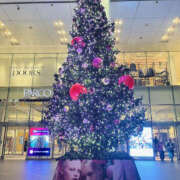 ヒメ日記 2024/12/25 18:52 投稿 まい 性腺熟女100％鶯谷（デリヘル市場）