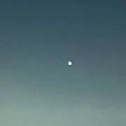 ヒメ日記 2024/12/25 19:29 投稿 まい 性腺熟女100％鶯谷（デリヘル市場）