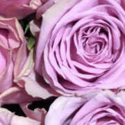 ヒメ日記 2024/12/31 09:08 投稿 まい 性腺熟女100％鶯谷（デリヘル市場）