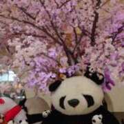 ヒメ日記 2025/01/02 19:31 投稿 まい 性腺熟女100％鶯谷（デリヘル市場）