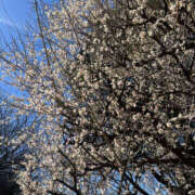 ヒメ日記 2025/02/20 07:34 投稿 まい 性腺熟女100％鶯谷（デリヘル市場）