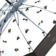 ヒメ日記 2025/03/03 07:35 投稿 まい 性腺熟女100％鶯谷（デリヘル市場）