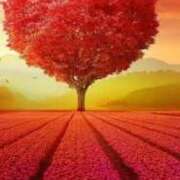 ヒメ日記 2025/03/24 06:36 投稿 まい 性腺熟女100％鶯谷（デリヘル市場）