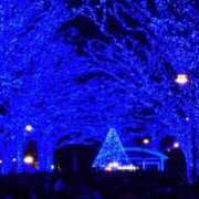 ヒメ日記 2025/03/26 21:41 投稿 まい 性腺熟女100％鶯谷（デリヘル市場）